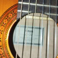 گیتار پاپ|گیتار، بیس، امپلیفایر|اسکو, |دیوار