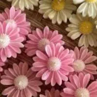 شمع عطر دار وشناور در آب|صنایع دستی و سایر لوازم تزئینی|تهران, سلسبیل جنوبی|دیوار