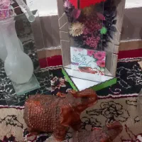 آبچکان واستند و...|آبچکان و نظمدهنده ظروف|اهواز, پردیس|دیوار