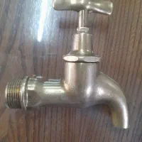 شیرلنگی نمره ۲ اس آلمان