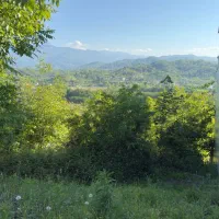 زمین مسکونی ویوابد.منطقه برند