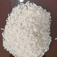 برنج پرمحصول درجه 1گیلان 250