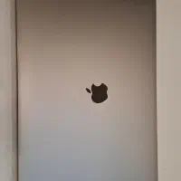 لپ تاپ مک بوک پرو