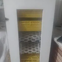 دستگاه جوجه کشی