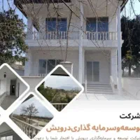 هلدینگ مازیار درویش