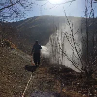 . تیلر. سم پاشی .|خدمات باغبانی و درختکاری|سنندج, |دیوار