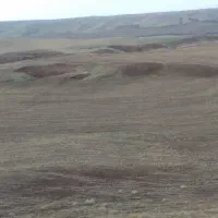 زمین دیم کشاورزی