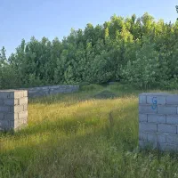 فروش چند پلاک زمین باغی زیر قیمت
