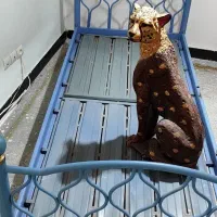 تخت فلزی بسیار محکم در حد نو