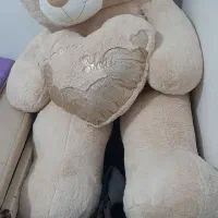 خرس قد ۱و۵۰ سالم