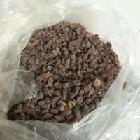 کشمش ملایر