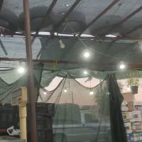 داربست فلزی