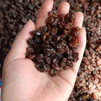 کشمش سیاه بی دونه|خوردنی و آشامیدنی|قم, فرهنگیان و شهربانی|دیوار