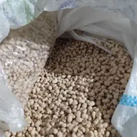 لوبیا چشم بلبلی ،پلویی