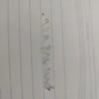 پیکان مدل 80