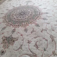 فرش ۱۲متری|فرش|ارومیه, |دیوار