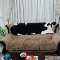 مبل با جلو مبلی|مبلمان خانگی و میز عسلی|نظرآباد, نظرآباد|دیوار