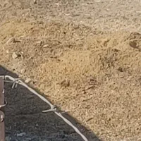 فروش کود گوسفند|لوازم جانبی حیوانات|دهدشت, |دیوار