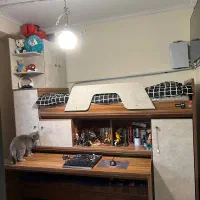 تخت خواب دوطبقه کمجاچوب مدل آوا|تخت و سرویس خواب|تهران, نیاوران|دیوار