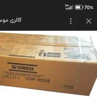 کارتن پیانو ydp143