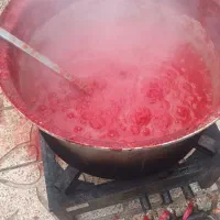 رب خانگی کنسرو شده