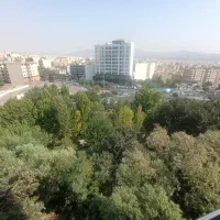 85 متر آپارتمان دو خوابه در دل جنگل لویزان|فروش آپارتمان|تهران, بوستان شیان|دیوار