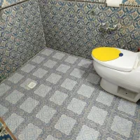 کلیه امور نظافت.هرمدل که شما بگید انجام میدم.|خدمات نظافت|لاهیجان, فیاض|دیوار