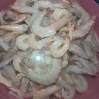 میگو طعمه