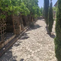 اجاره روزانه باغ جهت مراسم عقد و عروسی و تولد