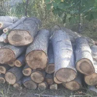 خریدار چوب تر و خشک|خدمات باغبانی و درختکاری|پارسآباد, |دیوار