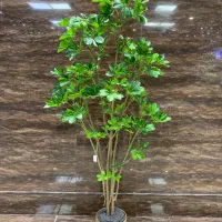 درختچه تزئینی طرح طبیعی