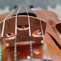 ویولون دست ساز ( فریدونی)|ویولن|شیراز, طلاب|دیوار