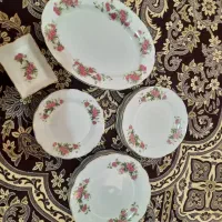 ظروف چینی گل سرخی