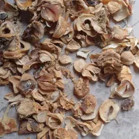موسیر درجه یک و دو همدان|خوردنی و آشامیدنی|قم, باغ شریفی|دیوار