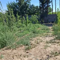 باغچه-با-سند-معتبر-منطقه-19-تهران