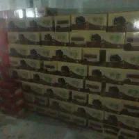 خرمای دو ردیف