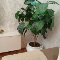 گل مصنوعی و گلدان سفالی لعابدار