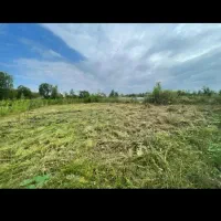 ۲۸۹ زمین دارم فروش