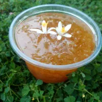 حلوا ارده و مربای بهارنارنج تازه ،توت فرنگی،ازگیل