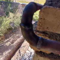 لوله کشی گاز|خدمات پیشه و مهارت|بجنورد, |دیوار