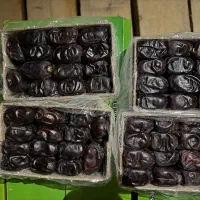 خرما مضافتی بم