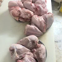 ران و سینه و غیره