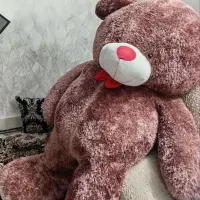 خرس قد(۲متر)سالم درحد نو