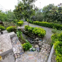 ویلاباغ پالم جنگلی/۵۰۰۰ متر باغ میوه/نهر آب/آلاچیق