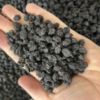 مویز سیاه بدون هسته مناسب/آبگیری/خوراکی/قنادی