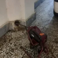 لوله باز کنی‌ فنرزنی