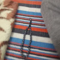 تسبیح
