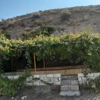 اجاره خانه باغ، روزانه، هفتگی|اجارهٔ کوتاهمدت ویلا و باغ|سیوان, |دیوار