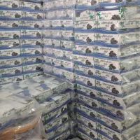 پخش عمده خرمادوره گردی وکپکاپ