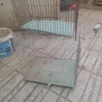 دو عدد قفس